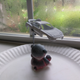 Mr. Bear watches the rain while he waits for the paint to dry.